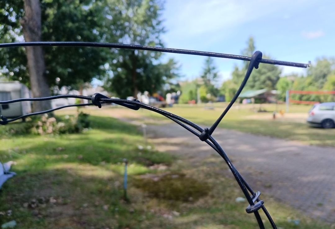 ant2